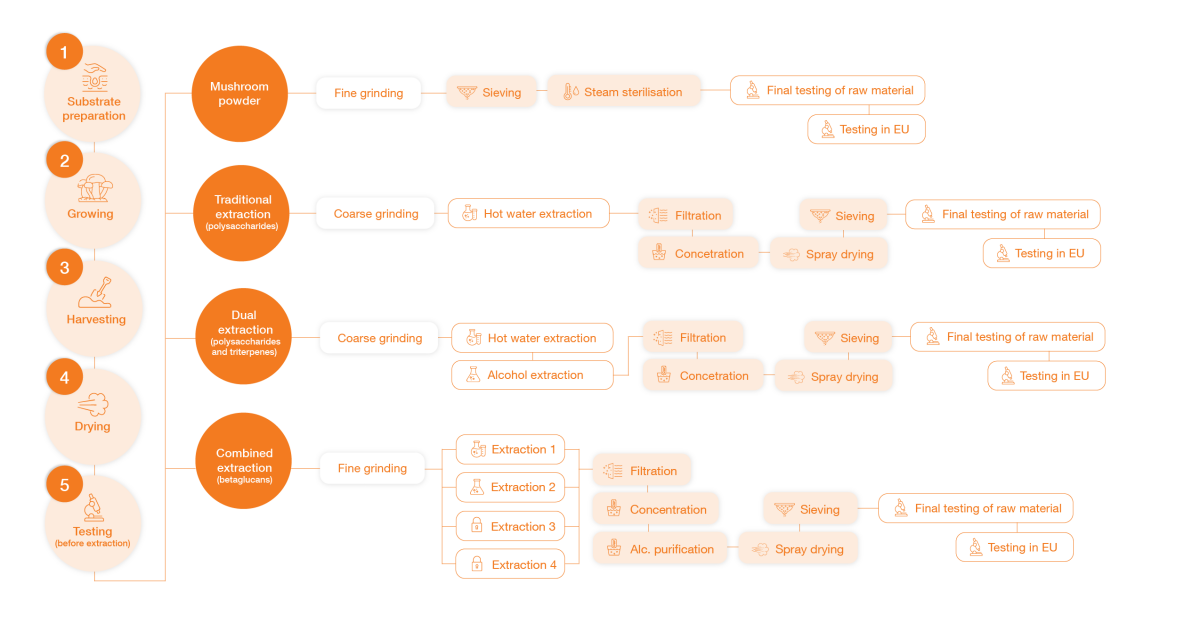diagram-extrakce-mycomedica-de