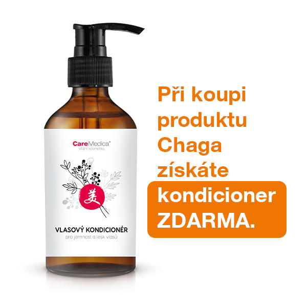 INGYENES Chaga s hajkondicionl
