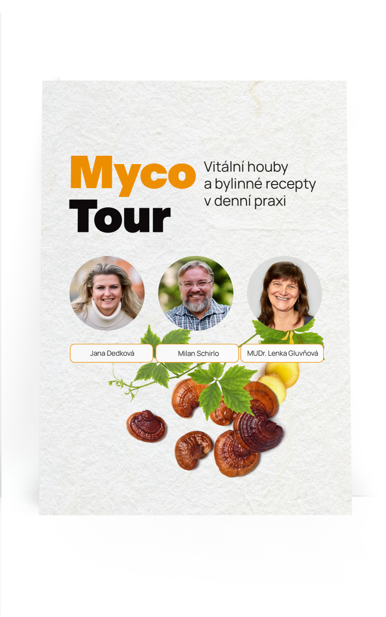 MycoTour - Gomba és gyógynövény szemináriumok