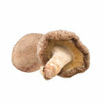 Shiitake kivonat 30%