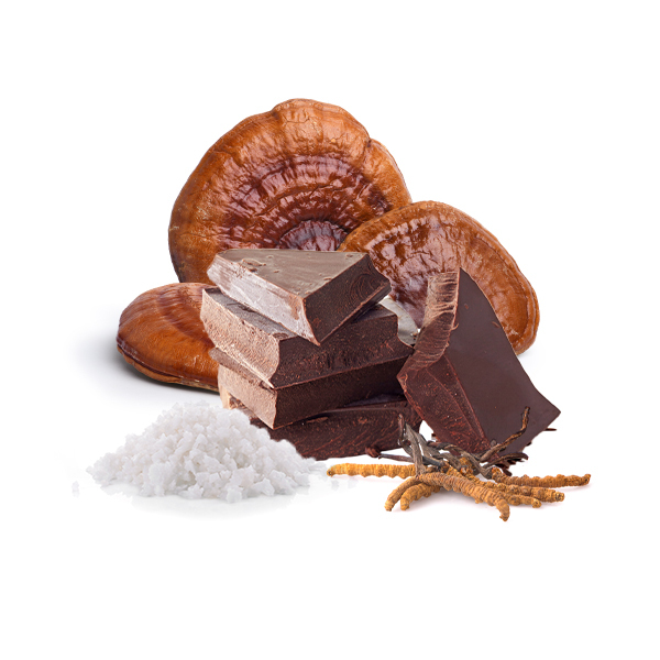 Tli csokold Cordyceps, Reishi s sval