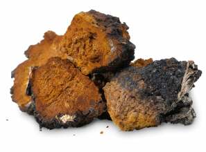 chaga-rezisztens-herpeszes-meningitis-herpesz