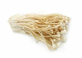 enoki-gomba